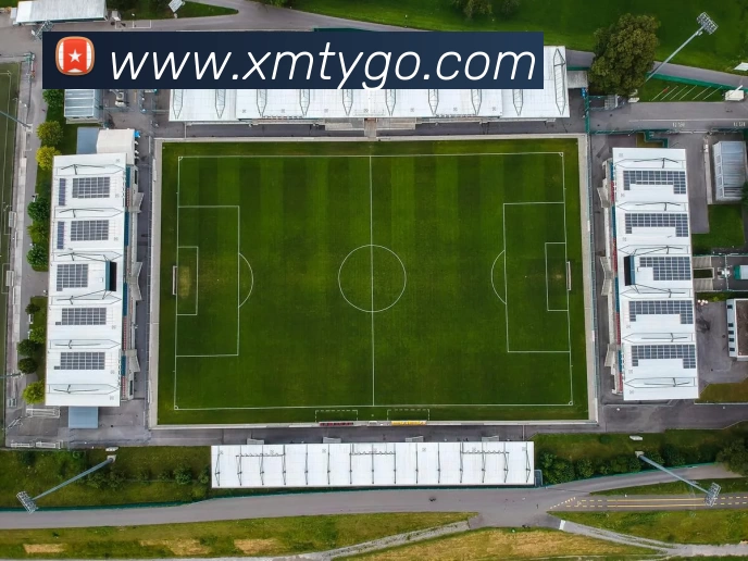 熊猫体育发展历程